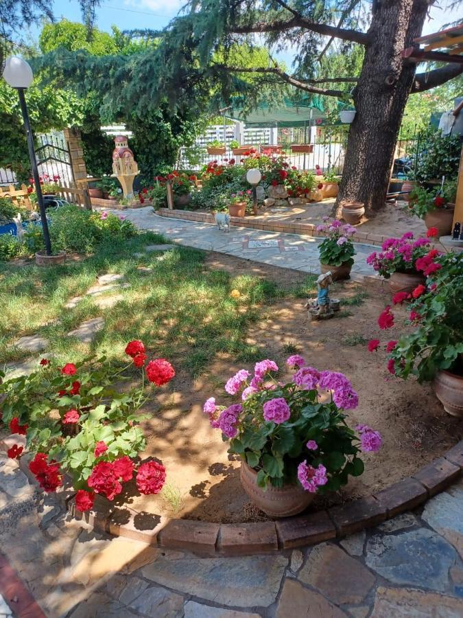 Handmade Peaceful Cozy House Near The Beach Nea Kallikrateia Экстерьер фото